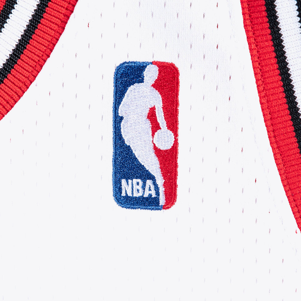 Chicago Bulls Mitchell & Ness Authentic Jersey Michael Jordan 1995-96