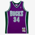 Milwaukee Bucks Mitchell & Ness Swingman Jersey Ray Allen 2001-02