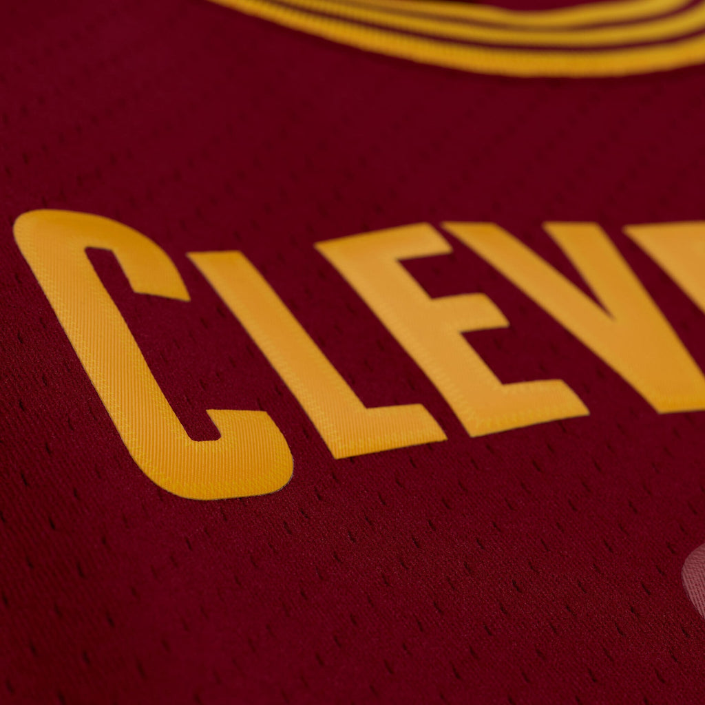 Cleveland Cavaliers Lebron James 2015-16 Mitchell & Ness Jersey