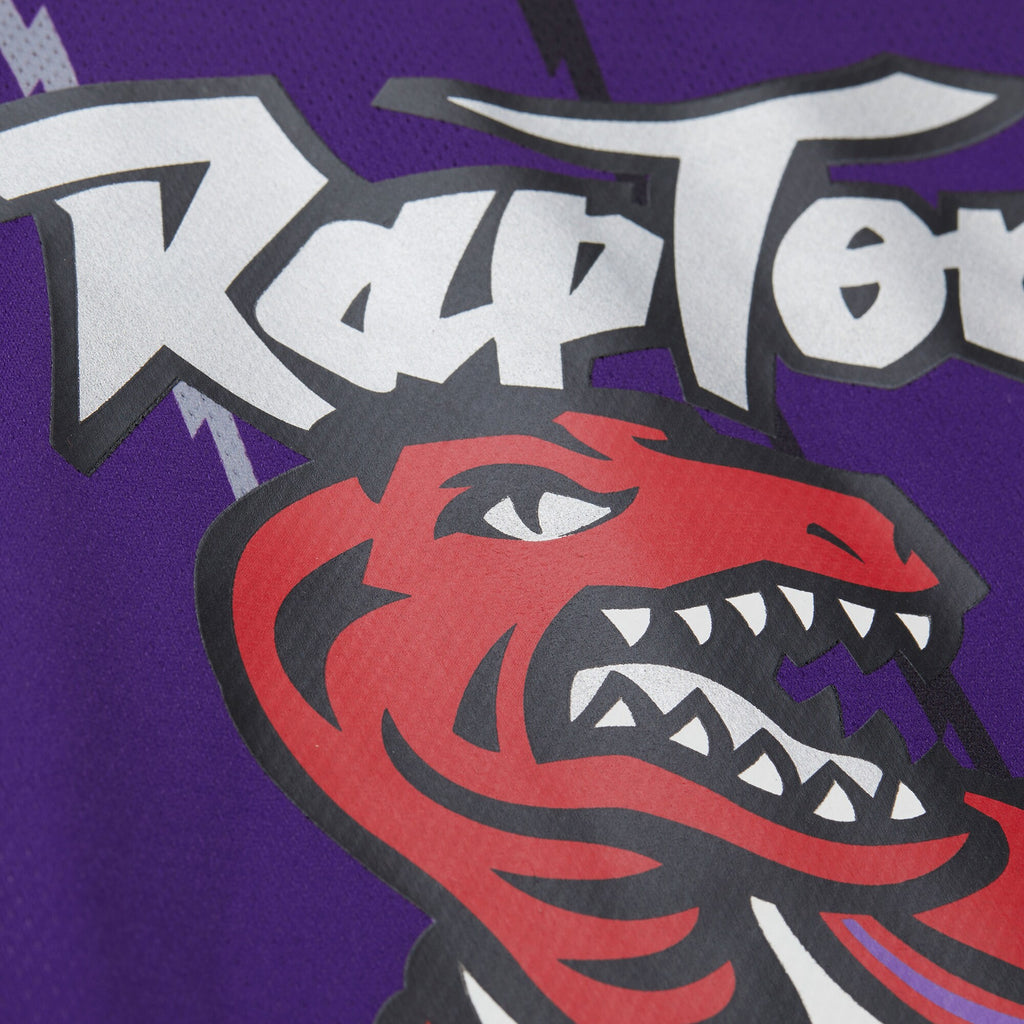 Unisex Mitchell & Ness Vince Carter Purple Toronto Raptors Maxxed Out Fashion Hockey Jersey