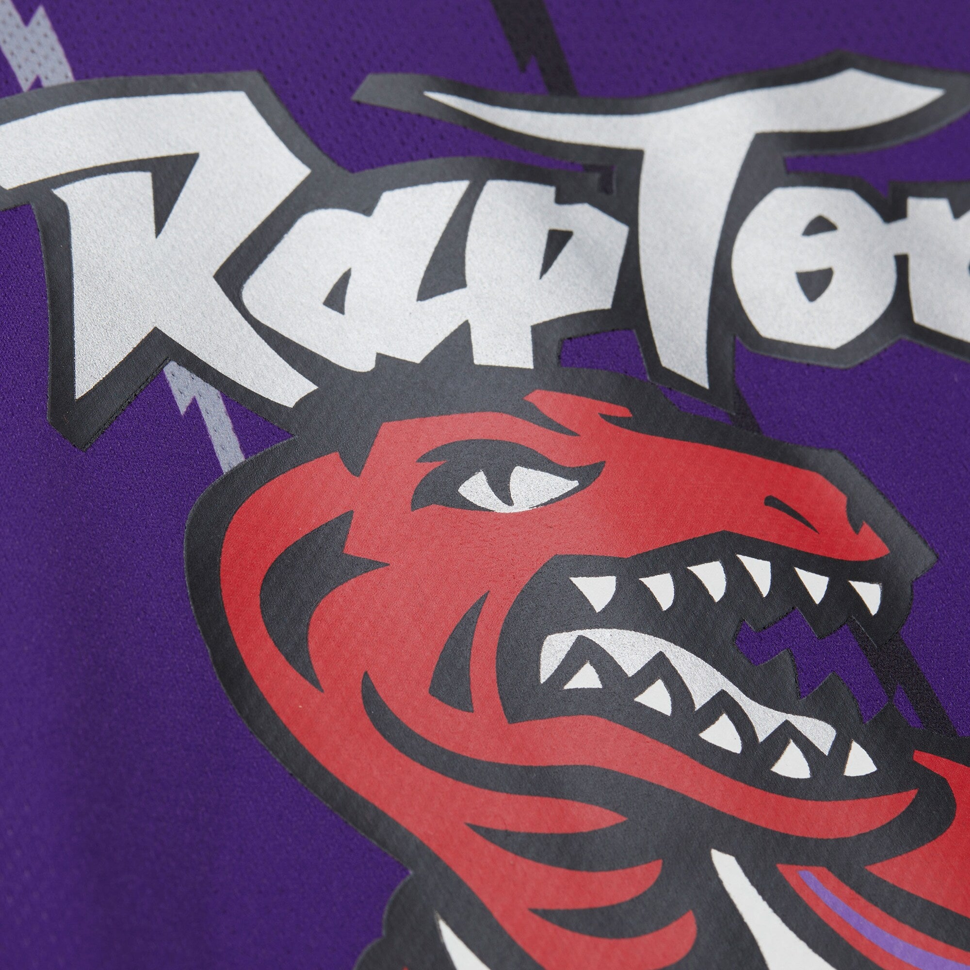 Unisex Mitchell & Ness Vince Carter Purple Toronto Raptors Maxxed Out Fashion Hockey Jersey
