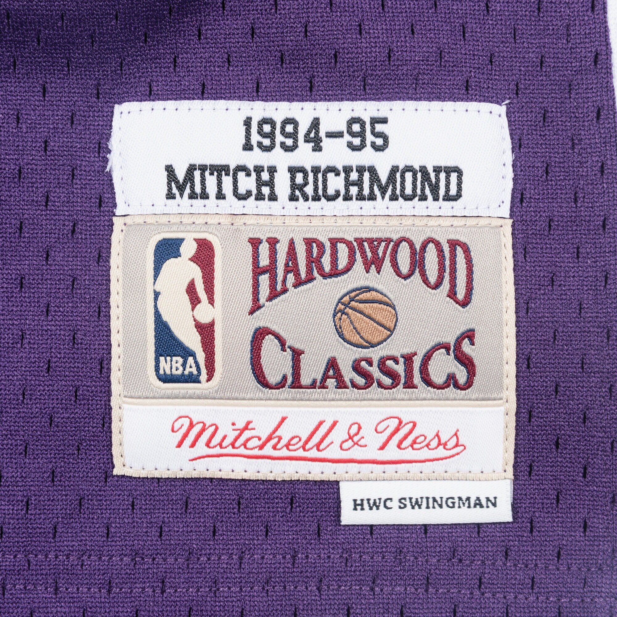 Sacramento Kings Mitchell & Ness Swingman Jersey Mitch Richmond 1994-95