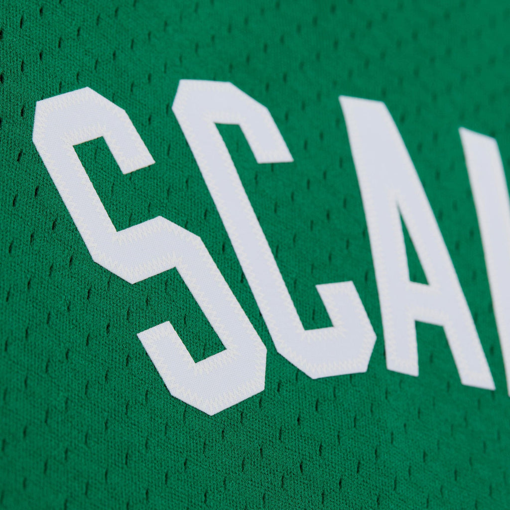 Boston Celtics Mitchell & Ness Swingman Jersey - Mens - Brian Scalabrine