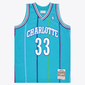 Charlotte Hornets NBA Mitchell & Ness Swingman Jersey - Alonzo Mourning