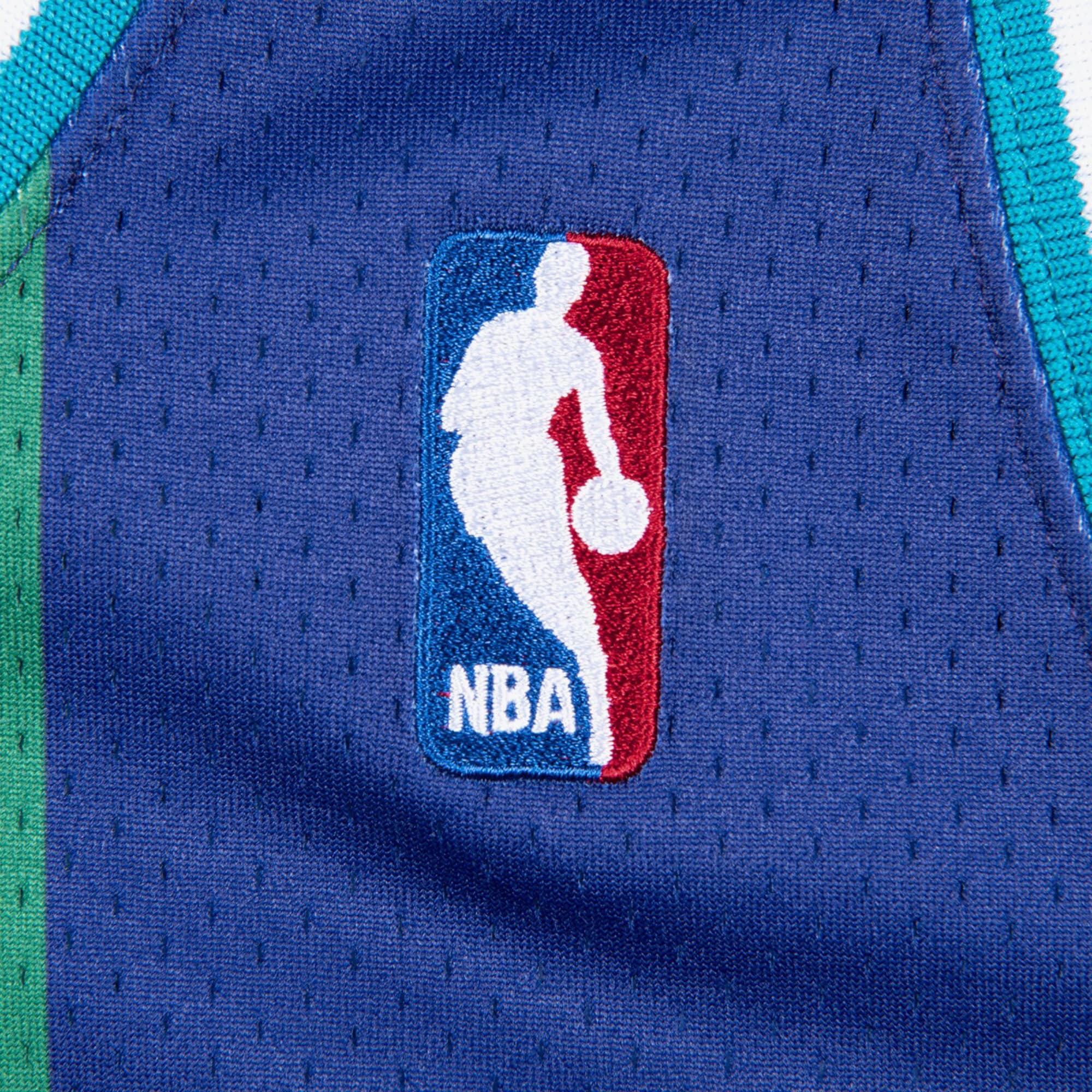 Charlotte Hornets Mitchell & Ness Authentic Jersey Alternate Alonzo Mourning 1994-95